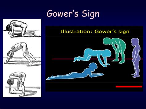 gowager|gowagerhub sign up.